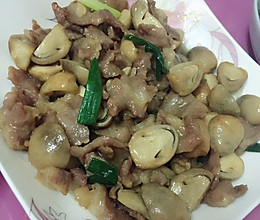 草菇肉片的做法