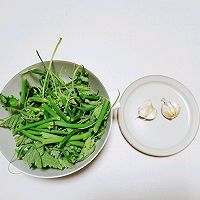 #合理膳食 营养健康进家庭#蒜蓉南瓜苗的做法图解1