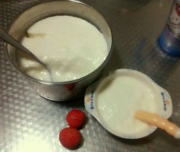自制老酸奶的做法