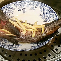 清蒸石斑鱼（适用于各种清蒸鱼）的做法图解8
