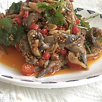 凉拌平菇的做法图解17