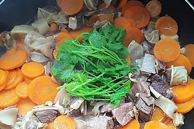 胡萝卜炖牛肉
