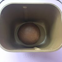 可可坚果咕咕霍夫的做法图解6