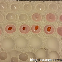 舌尖上的柔软-自制夹心棉花糖#长帝烘焙节#的做法图解6