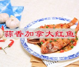 #李锦记X豆果 夏日轻食美味榜#蒜香加拿大红鱼的做法