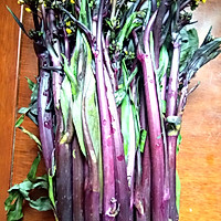 清炒紫菜苔的做法图解1