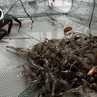 阳澄湖野生大闸蟹#晒出你的中秋团圆饭的做法图解1