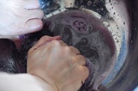 日式梅干的做法图解14