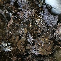 自制海苔 香酥紫菜的做法图解4