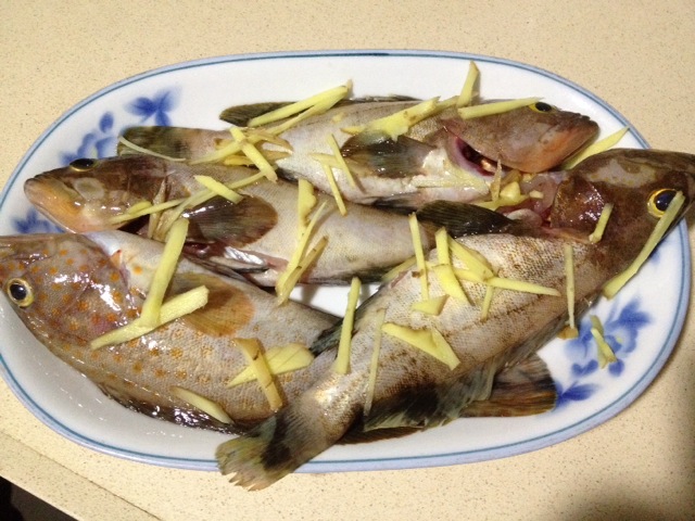 清蒸小石斑鱼怎么做 清蒸小石斑鱼的做法 豆果美食