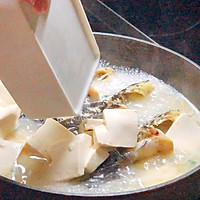 昂刺鱼豆腐汤的做法图解8