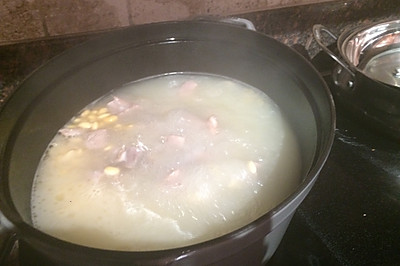 港式苦瓜排骨汤