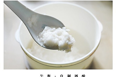 酒酿