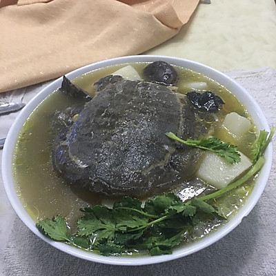 乌鸡甲鱼汤