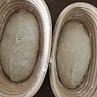 天然酵母面包～无油无糖的做法图解7