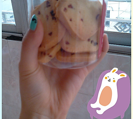夏日午后甜品蔓越莓饼干