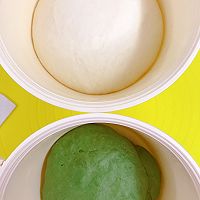 菠菜双色馒头的做法图解10