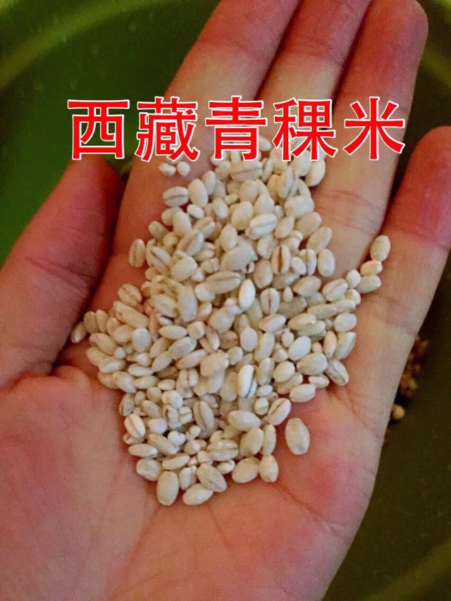 冬虫夏草红豆黄豆藏青果养生粥的做法图解4