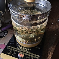 #电冰箱剩下食物大更新改造#孩儿草黄菊花麦芽茶-清肝火去火，化滞去湿气的作法步
骤详解4