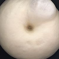 手揉蔓越莓吐司的做法图解5