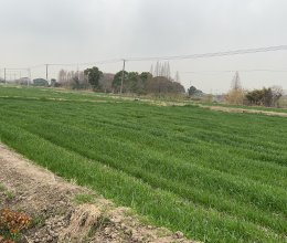 晨跑‍♀️的做法