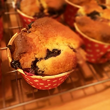 藍莓馬芬blueberry muffin