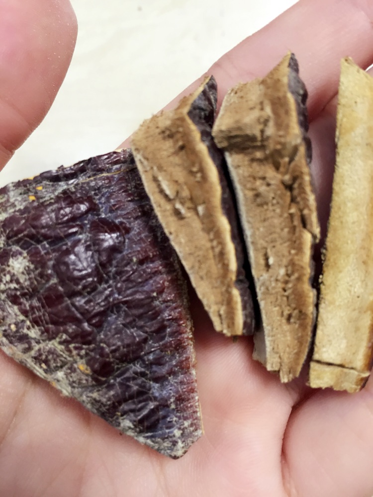灵芝茯苓猪骨汤的做法图解1