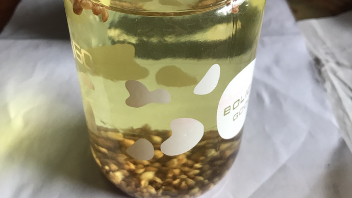 苦荞麦茶