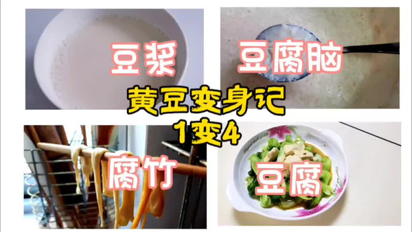 黄豆变身记（豆浆、腐竹、豆腐脑、豆腐一锅出）