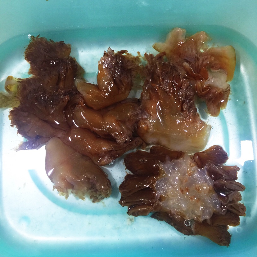 海蜇凉拌白萝卜丝的做法图解1