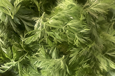 蒸胡萝卜樱