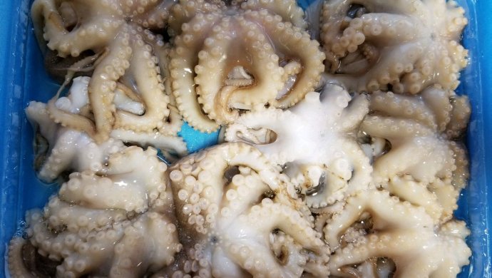 夏季开胃菜 香辣八爪鱼