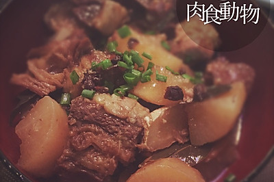 厨房菜鸟版萝卜炖牛腩