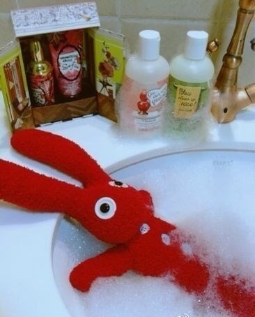 给兔兔洗澡澡