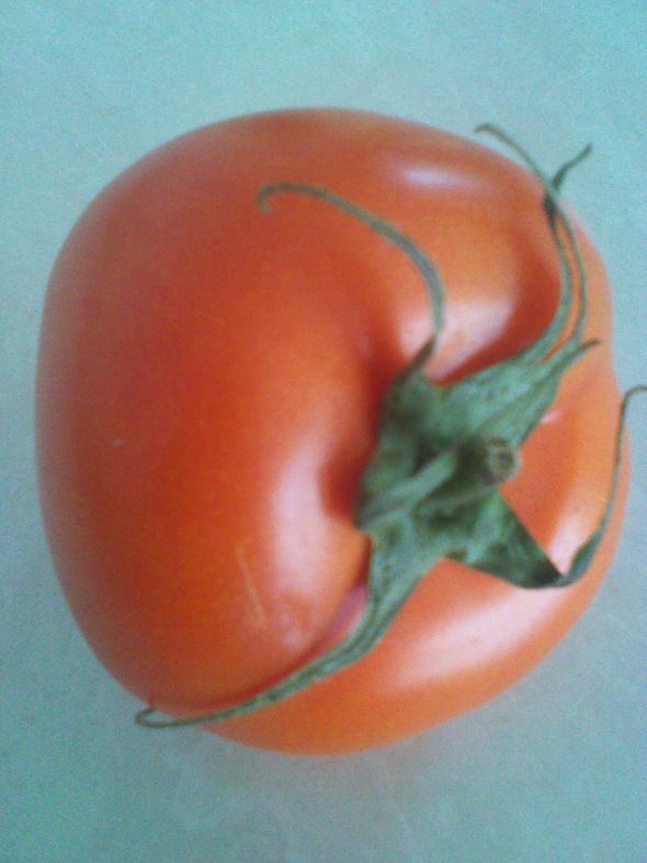 生吃西红柿