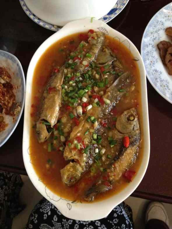 鲫鱼