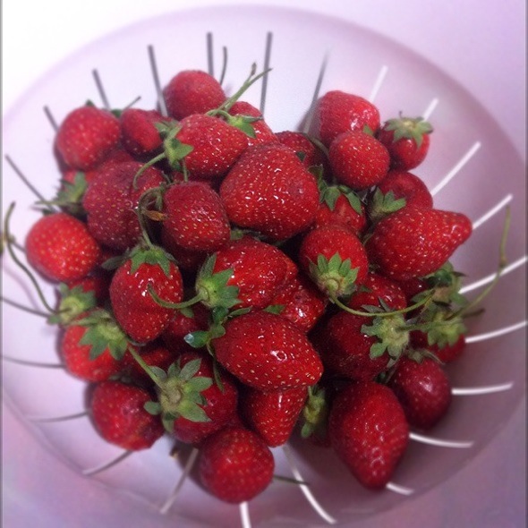 草莓~