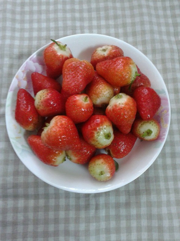 自己摘的草莓★好新鲜