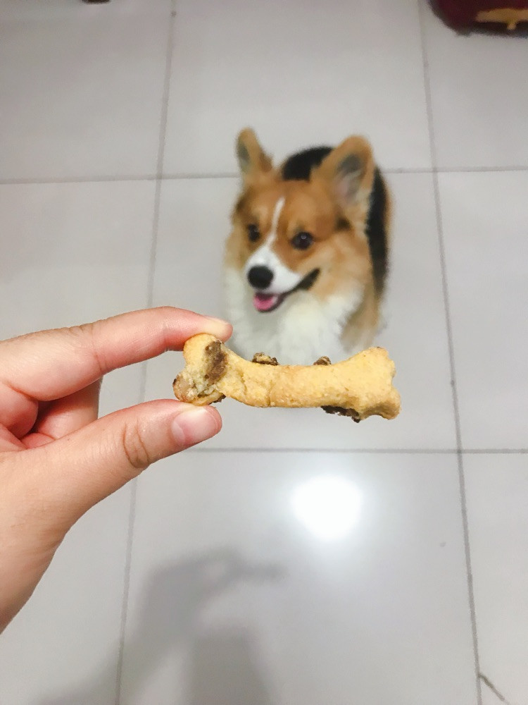 不想用罐头 用的牛排 打成茸的苹果做的 更健康 狗子超级喜欢图4