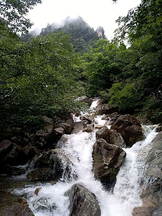 大明山——原始次森林保护基地图2