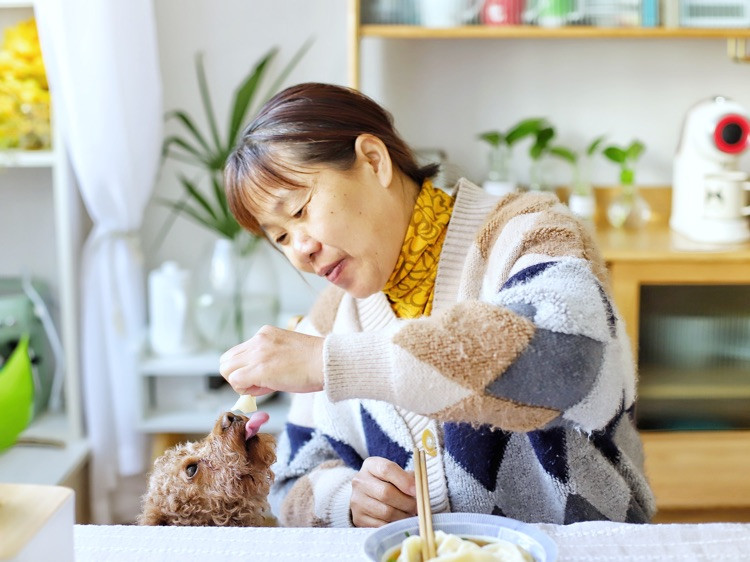 喵の早餐 | 妈妈会做啥早餐？第三款阳春饺子图7