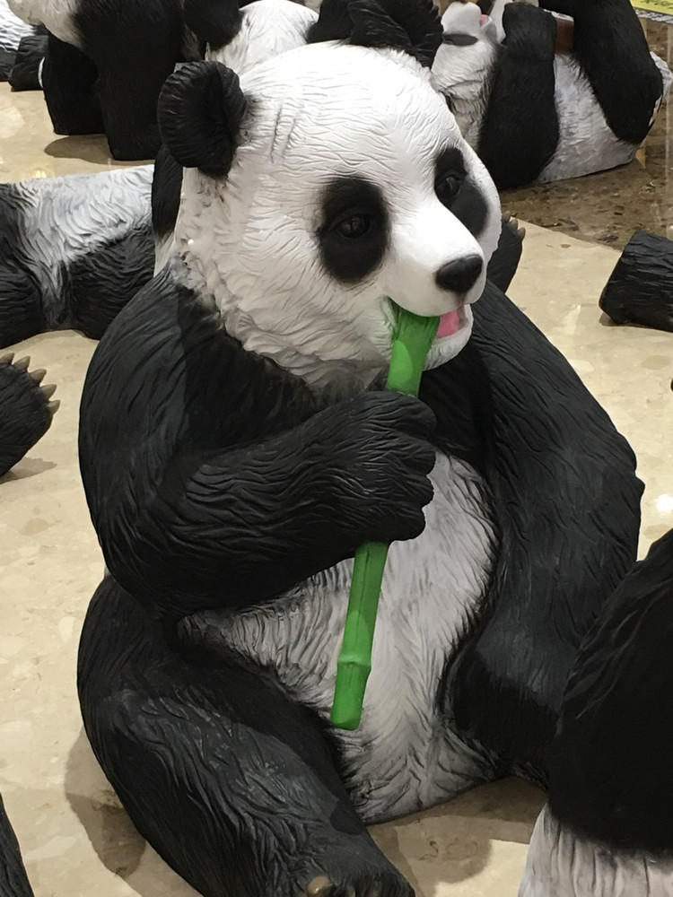 注意！熊猫🐼出没…图4