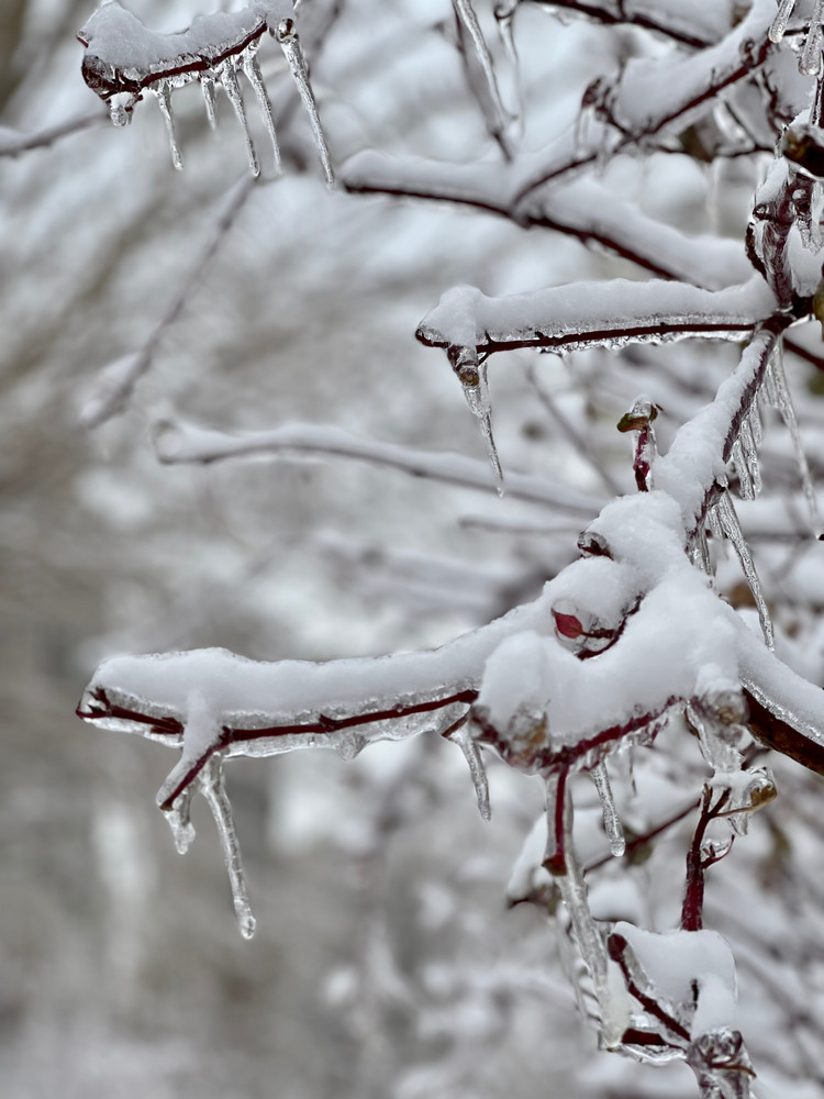 北方屋外白雪皑皑，家里早餐热气腾腾～图4