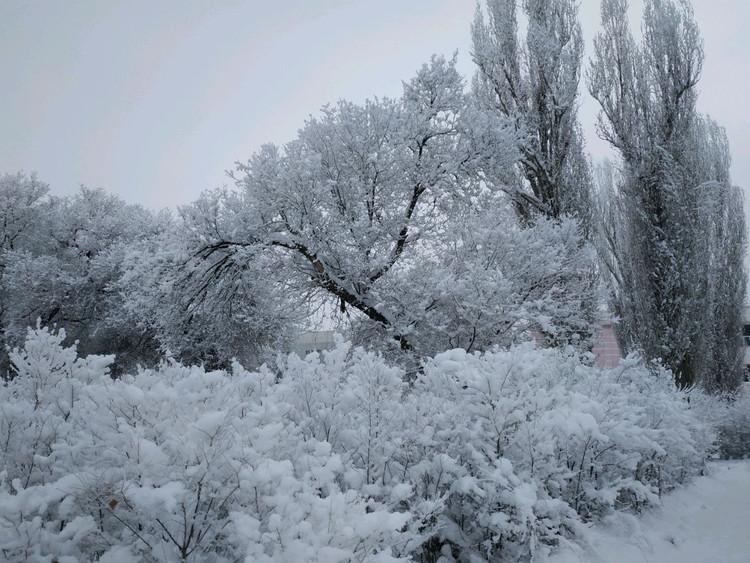 板栗虫草排骨汤图2