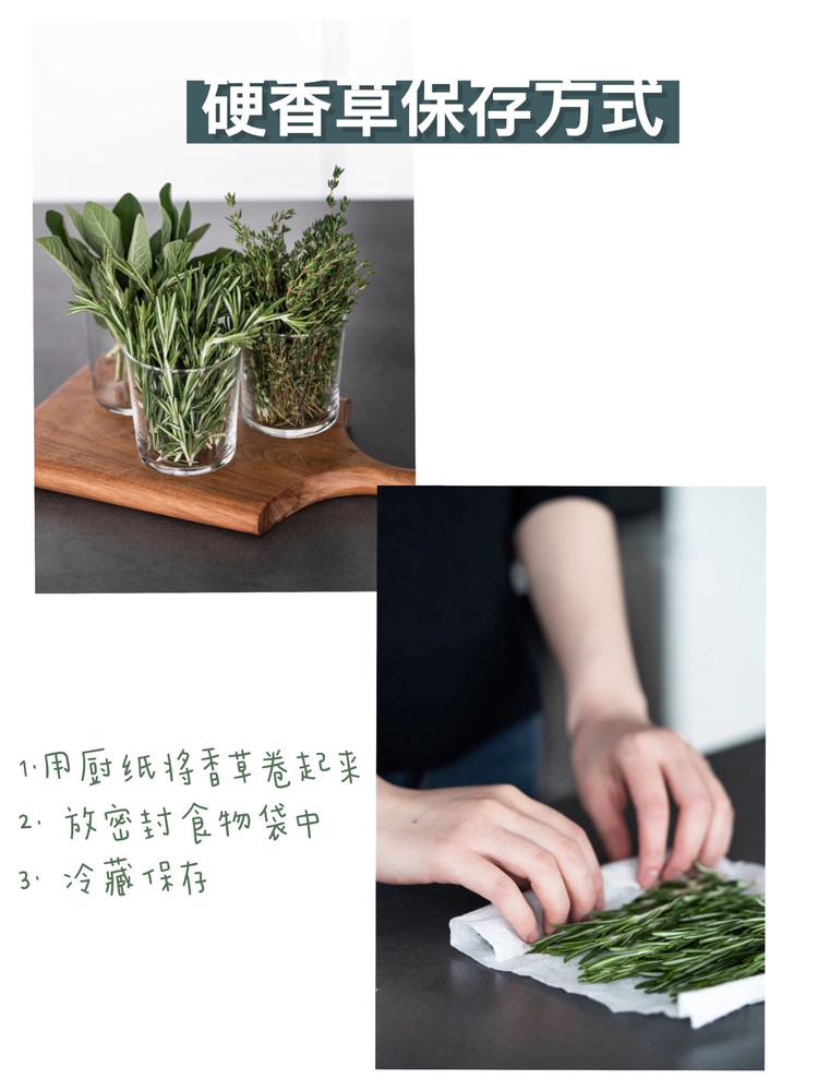 超详细香草使用指南🌿实用干货文图5