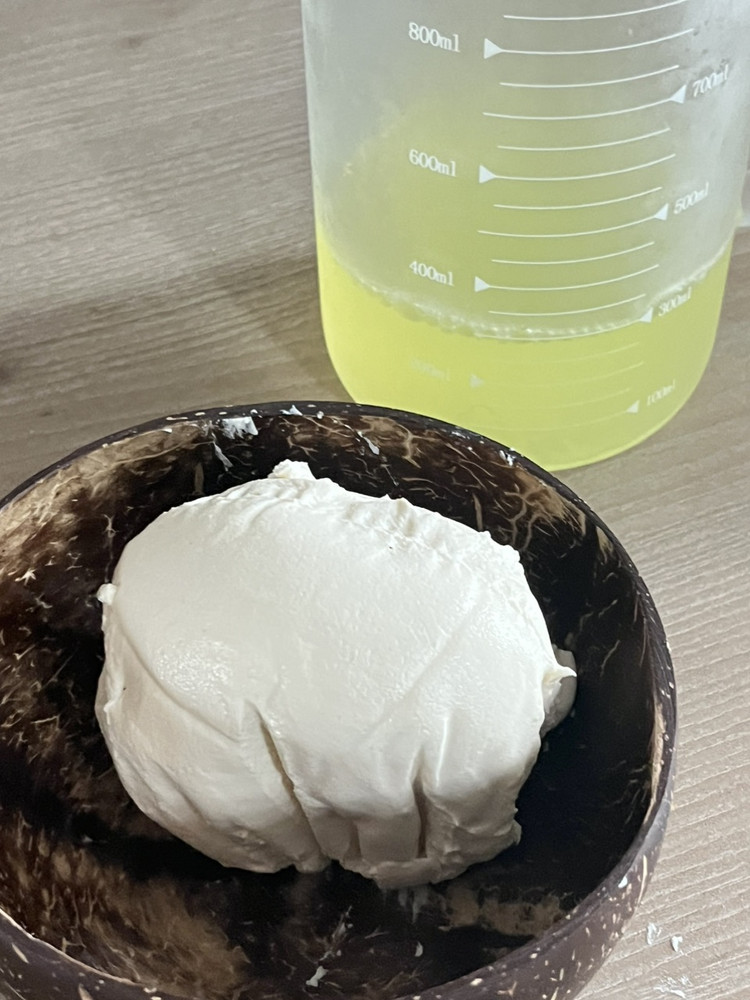 自制无糖酸奶健康轻食早餐下午茶图4