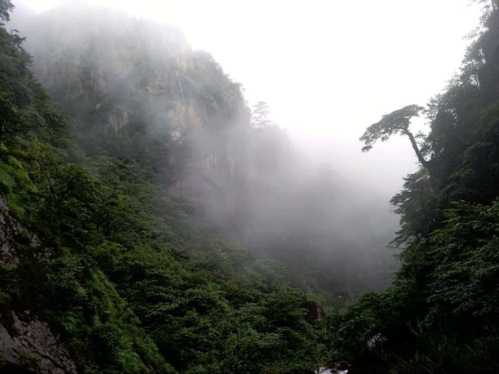 大明山——原始次森林保护基地图1