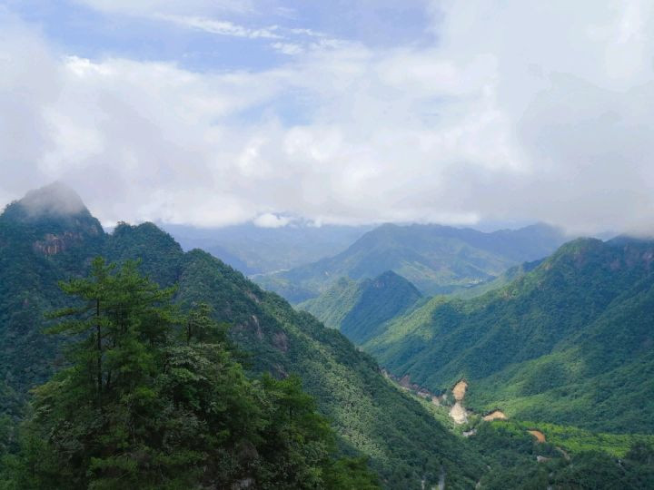 大明山——原始次森林保护基地图6