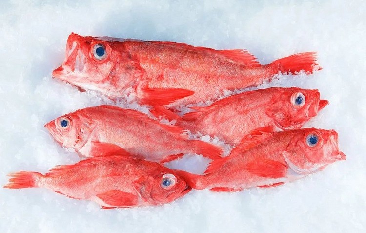 红鱼整条加拿大来料，颜值高，口感好，中国人最爱图1