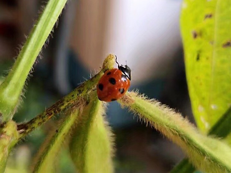 营养与颜值兼顾😁炒菜顺序很重要哦点击来看图7